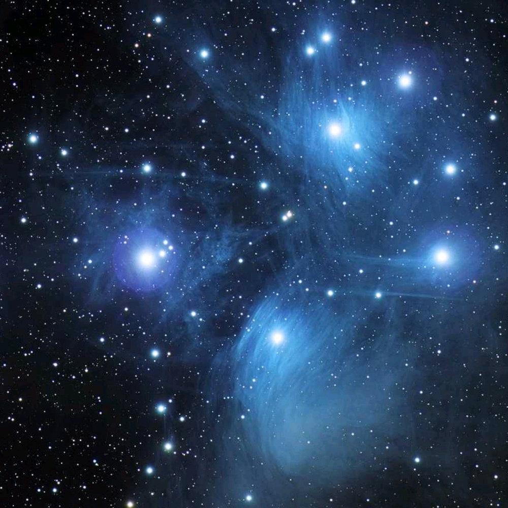 Meet your Posher, Whitney